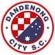 丹德农市 logo